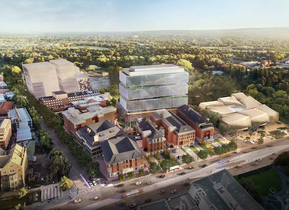 Lot Fourteen, Adelaide